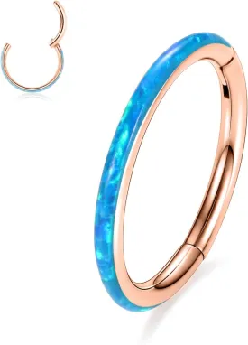 GAGABODY Conch Jewelry 20g 18g Septum Jewelry 16 Gauge Earrings Conch Hoop Daith Earrings Surgical Steel Lip Rings with Opal Paved Hinged Nose Rings Helix Rook Cartlidge Earrings Hoop